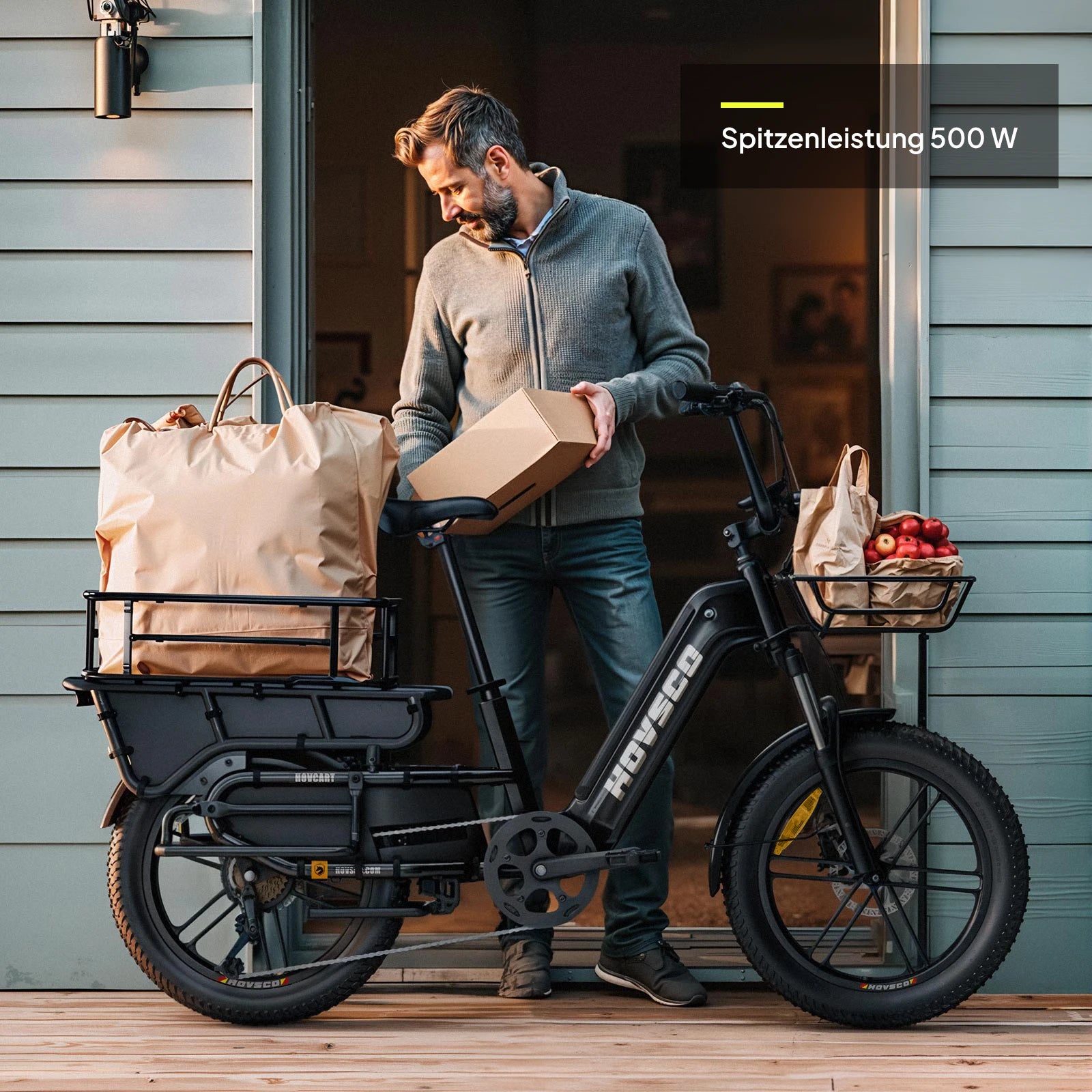 HOVSCO™ HovCart 20" Step-Thru Elektrisches Fat-Tire-Lastenfahrrad