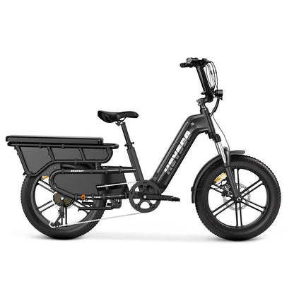 HOVSCO™ HovCart 20" Step-Thru Elektrisches Fat-Tire-Lastenfahrrad