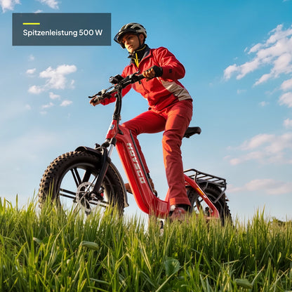 HOVSCO™ HovBeta 20" Klappbares E-Bike mit Fat Tires