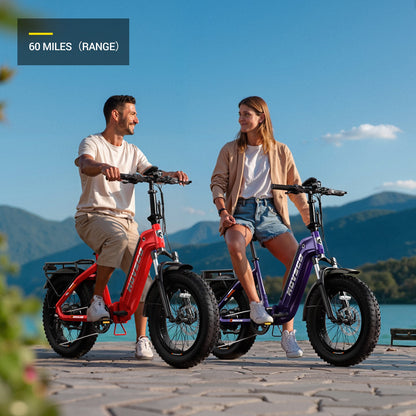 HOVSCO™ HovBeta 20" Klappbares E-Bike mit Fat Tires