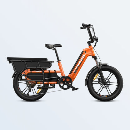 HOVSCO™ HovCart 20" Step-Thru Elektrisches Fat-Tire-Lastenfahrrad