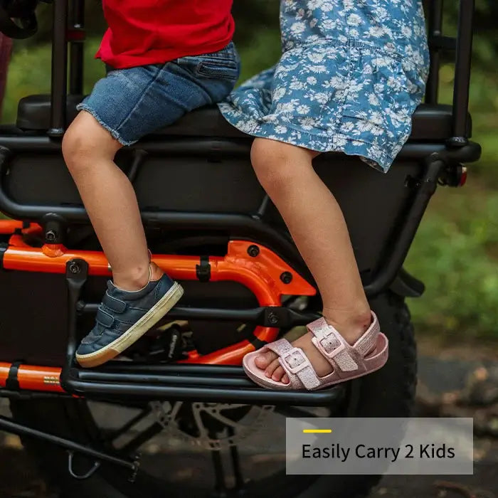 HOVSCO™ HovCart 20" Step-Thru Elektrisches Fat-Tire-Lastenfahrrad