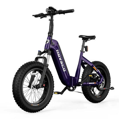 HOVSCO™ HovBeta 20" Klappbares E-Bike mit Fat Tires