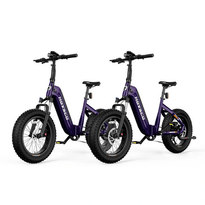 HOVSCO™ HovBeta 20" Klappbares E-Bike mit Fat Tires